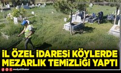 İl Özel İdaresi köylerde mezarlık temizliği yaptı