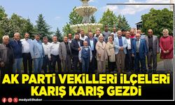 AK Parti vekilleri ilçeleri karış karış gezdi