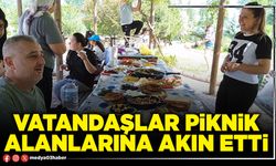 Vatandaşlar piknik alanlarına akın etti