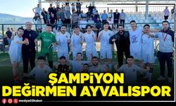 Şampiyon Değirmen Ayvalıspor
