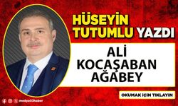 Ali Kocaşaban Ağabey