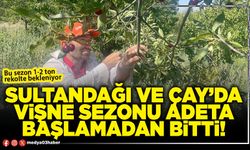 Sultandağı ve Çay’da vişne sezonu adeta başlamadan bitti!