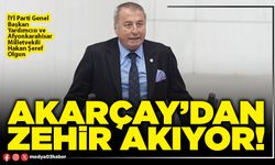 Akarçay’dan zehir akıyor!