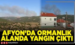 Afyon’da Ormanlık Alanda Yangın Çıktı