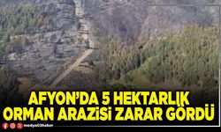 Afyon’da 5 hektarlık orman arazisi zarar gördü