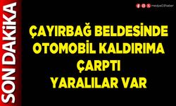 Çayırbağ Beldesinde otomobil kaldırıma çarptı yaralılar var