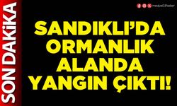 Sandıklı’da ormanlık alanda yangın çıktı!