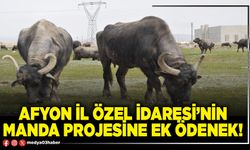 Afyon İl Özel İdaresi’nin manda projesine ek ödenek!