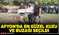 Afyon’da en güzel kuzu ve buzağı seçildi