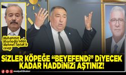 Sizler köpeğe “Beyefendi” diyecek kadar haddinizi aştınız!