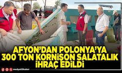 Afyon’dan Polonya’ya 300 ton kornişon salatalık ihraç edildi