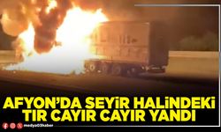 Afyon’da seyir halindeki tır cayır cayır yandı