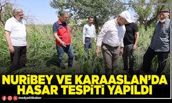 Nuribey ve Karaaslan’da hasar tespiti yapıldı