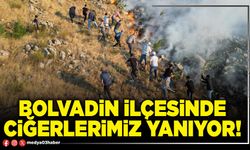 Bolvadin ilçesinde ciğerlerimiz yanıyor!