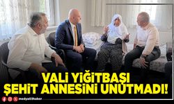 Vali Yiğitbaşı şehit annesini unutmadı!