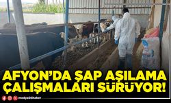 Afyon’da şap aşılama çalışmaları sürüyor!