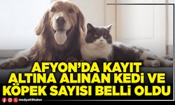 Afyon’da kayıt altına alınan kedi ve köpek sayısı belli oldu