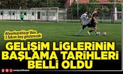 Gelişim Liglerinin başlama tarihleri belli oldu