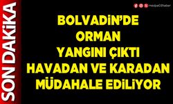 Bolvadin’de orman yangını çıktı