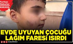 Evde uyuyan çocuğu lağım faresi ısırdı