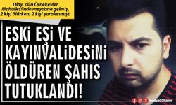 Eski eşi ve kayınvalidesini öldüren şahıs tutuklandı!