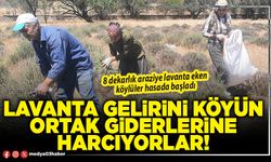Lavanta gelirini köyün ortak giderlerine harcıyorlar!