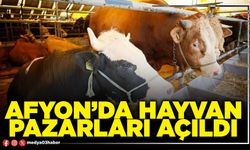 Afyon’da hayvan pazarları açıldı