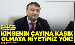 Kimsenin çayına kaşık olmaya niyetimiz yok!