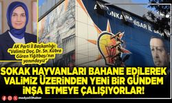 Sokak hayvanları bahane edilerek Valimiz üzerinden yeni bir gündem inşa etmeye çalışıyorlar!