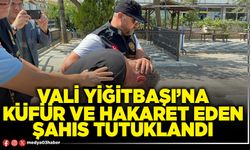 Vali Yiğitbaşı’na küfür ve hakaret eden şahıs tutuklandı