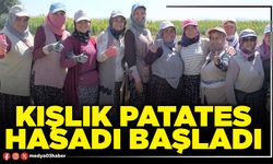 Kışlık patates hasadı başladı