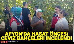 Afyon’da hasat öncesi ceviz bahçeleri incelendi