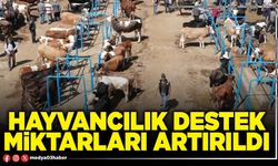 Hayvancılık destek miktarları artırıldı