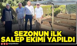 Sezonun ilk salep ekimi yapıldı