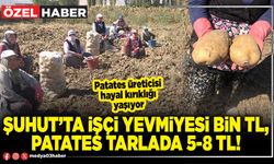 Şuhut’ta işçi yevmiyesi Bin TL, patates tarlada 5-8 TL!