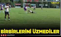 Birbirlerini üzmediler