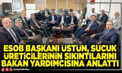 ESOB Başkanı Üstün, sucuk üreticilerinin sıkıntılarını Bakan Yardımcısına anlattı
