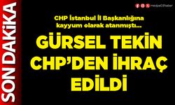 Gürsel Tekin CHP’den ihraç edildi