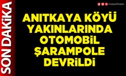 Anıtkaya Köyü yakınlarında otomobil şarampole devrildi