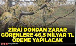Zirai dondan zarar görenlere 46,5 Milyar TL ödeme yapılacak