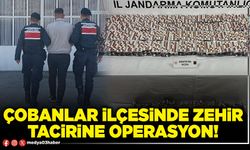 Çobanlar ilçesinde zehir tacirine operasyon!