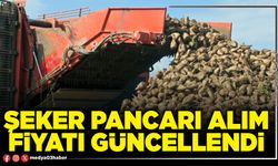 Şeker pancarı alım fiyatı güncellendi