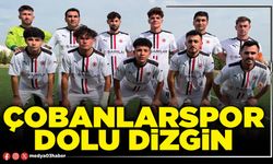 Çobanlarspor dolu dizgin