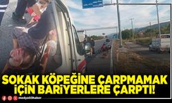 Sokak köpeğine çarpmamak için bariyerlere çarptı!