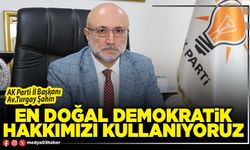 En doğal demokratik hakkımızı kullanıyoruz