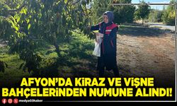 Afyon’da kiraz ve vişne bahçelerinden numune alındı!
