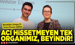 Acı hissetmeyen tek organımız, beyindir!