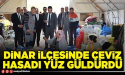 Dinar İlçesinde ceviz hasadı yüz güldürdü