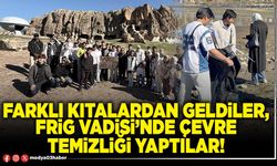 Farklı kıtalardan geldiler, Frig Vadisi’nde çevre temizliği yaptılar!