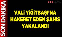 Vali Yiğitbaşı’na hakeret eden şahıs yakalandı